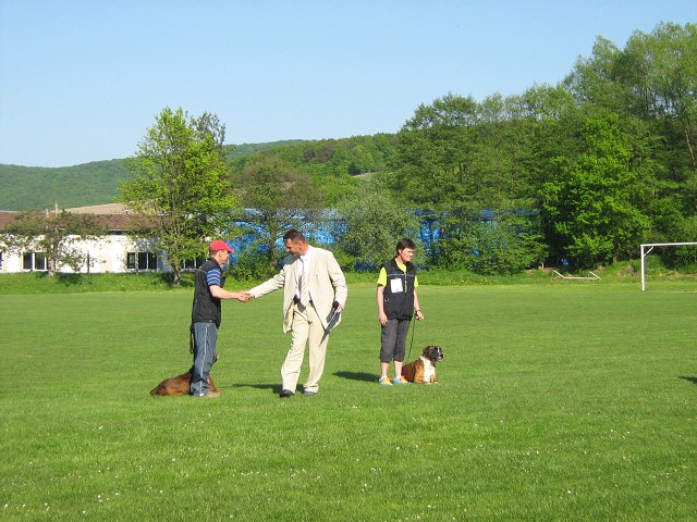 www.atibox.net * www.euroboxer.eu * www.boxergenealogia.eu